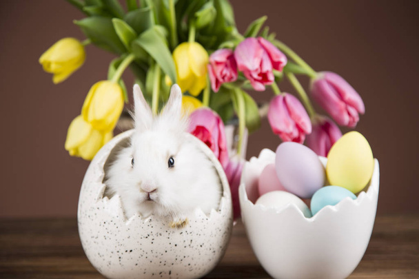 Easter rabbit in the shell of eggs. Colorful tulips - Fotografie, Obrázek