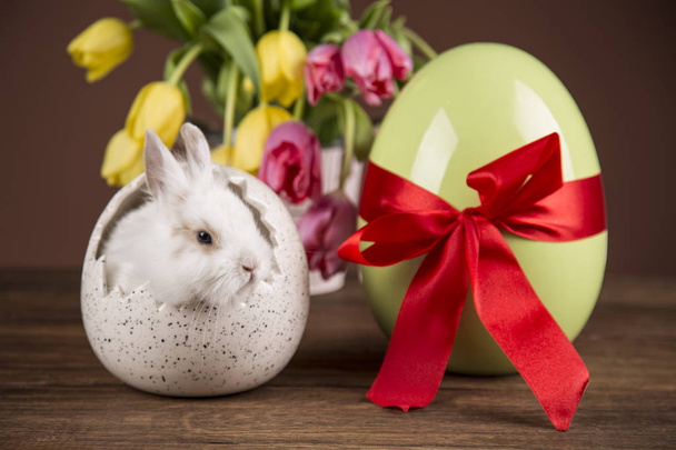 Easter rabbit in eggshell. Colorful tulips. Red bow. - Fotografie, Obrázek