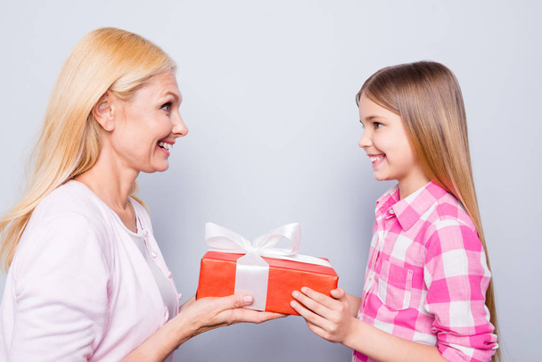 Close up side profile photo blond hair she her granny little granddaughter hold large big giftbox best grandchild excited amazed wear pink plaid checkered shirt sweater isolated grey background - Foto, imagen