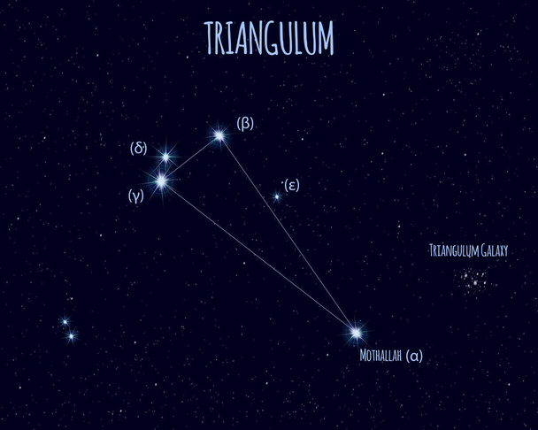 Созвездие Треугольника, векторная иллюстрация с названиями основных звёзд на фоне звездного неба
  - Вектор,изображение