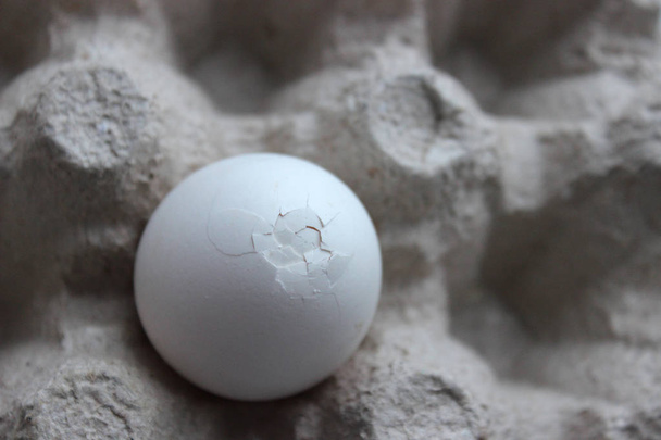 Chicken egg is half broken among other eggs - Foto, immagini