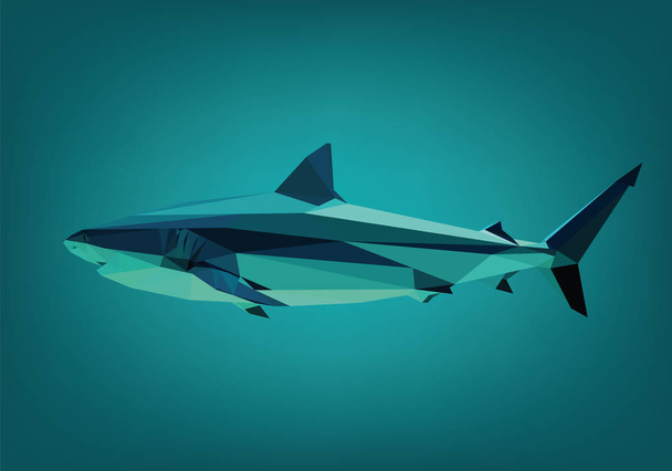 Shark low poly - Vektor, Bild