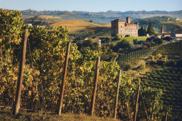 the castle of Grinzane Cavour, surrounded by the vineyards of La - Photo, Image
