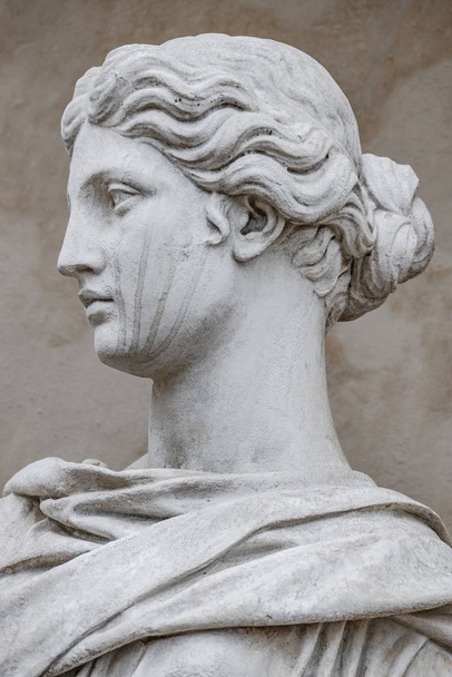 Ancient statue of sensual Italian renaissance era woman with lon - Photo, Image