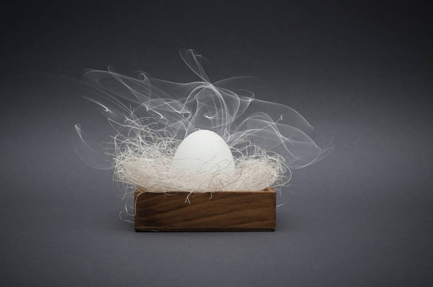 Easter smokey hot white egg in nest - Photo, Image