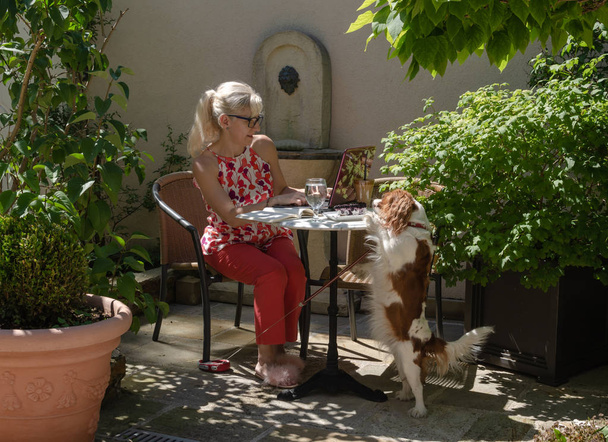Femme d'affaires avec son ordinateur portable et son chien
 - Photo, image