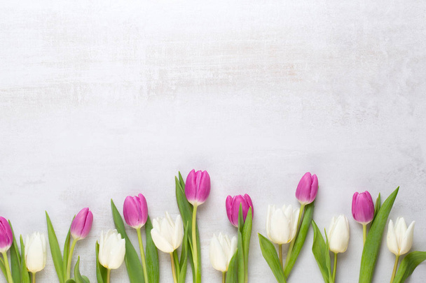 Biglietto di auguri primavera, tulipani color pastello sullo sfondo grigio
 - Foto, immagini