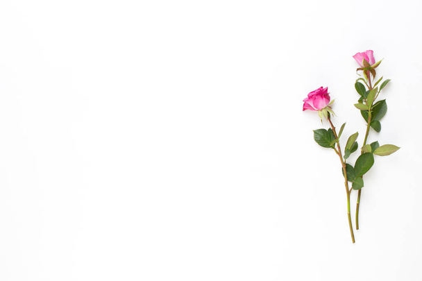 Flowers composition. Frame made of red rose on white wooden back - Foto, imagen
