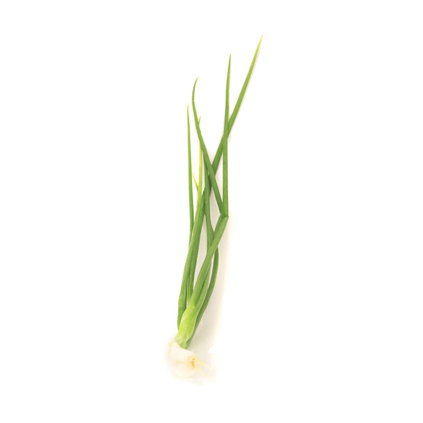 Green onion/Spring onion isolated on the white background - Фото, изображение