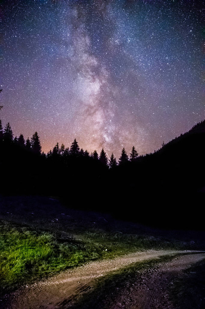 Clearly milky way galaxy at dark night, silhouette of trees - Fotografie, Obrázek
