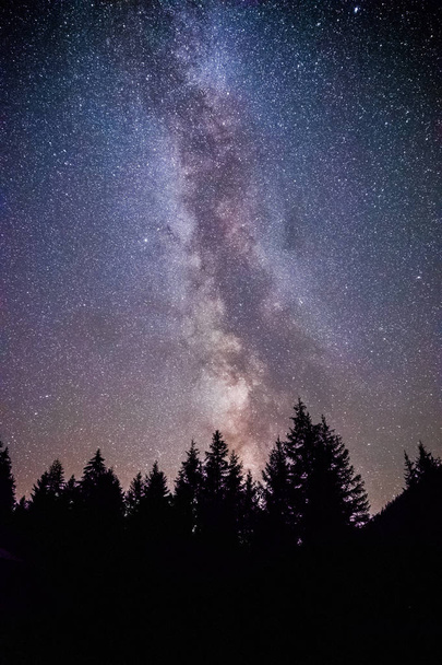 Clearly milky way galaxy at dark night, silhouette of trees - Foto, Imagem