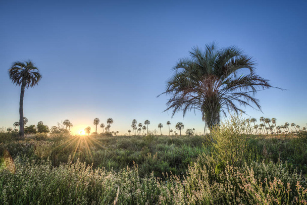 zonsopgang op el palmar nationaal park, Argentinië - Foto, afbeelding