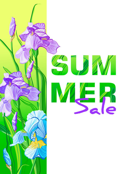 Summer sale banner with blue and purple flowers, flower iris design for banner, flyer, invitation, poster, placard, web site or greeting card.  - Zdjęcie, obraz