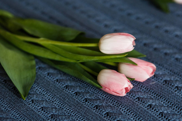 bouquet of beautiful pink tulips - Photo, image