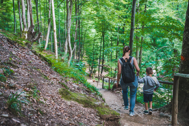 mother with son walking forest trail holding hands - Photo, Image