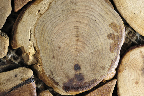 Фон старих дерев'яних плит
 - Фото, зображення