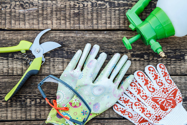 Pruner, pressure sprayer, garden gloves and protective glasses on wooden board. - Zdjęcie, obraz