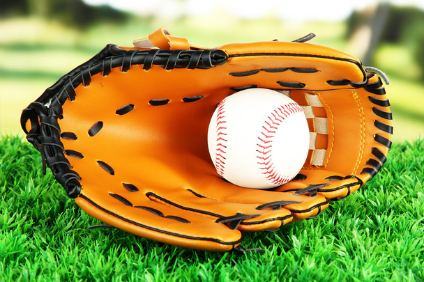 Baseball glove and ball on grass in park - Foto, immagini