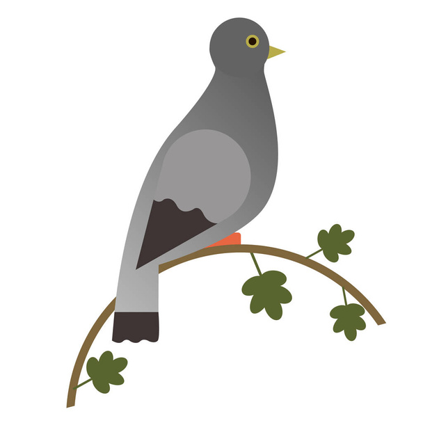 pigeon flat illustration - Vetor, Imagem