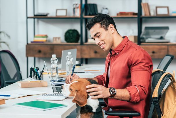 Cheerful student looking at beagle dog while studying at desk - Photo, Image