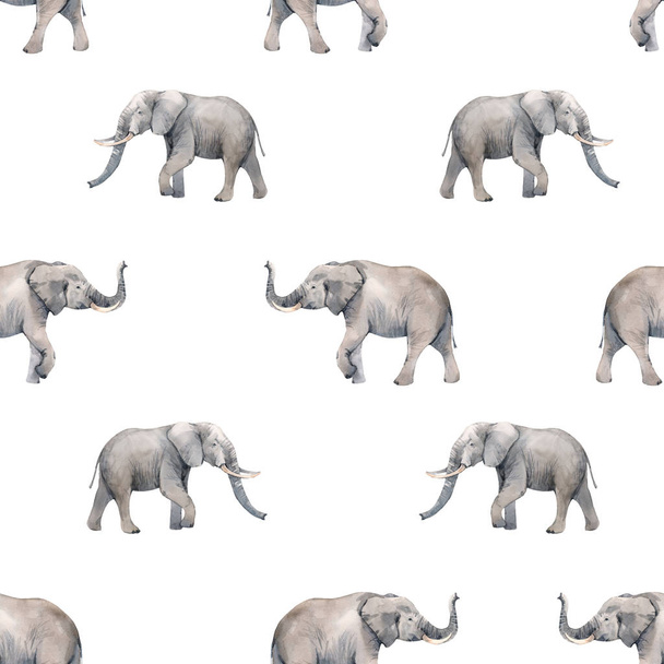 Watercolor elephant seamless pattern - Foto, Imagem
