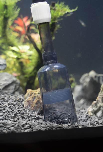 Outil de nettoyage de gravier au siphon dans l'aquarium
. - Photo, image