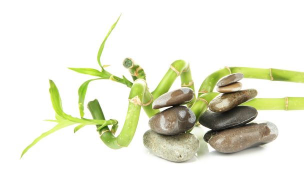 Still life with green bamboo plant and stones, isolated on white - Photo, Image