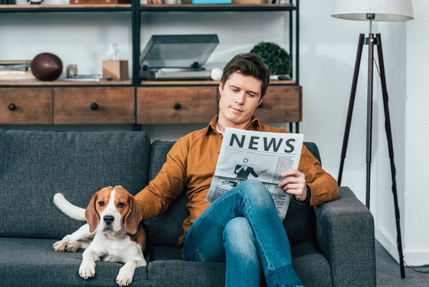 Συγκεντρωμένη άνθρωπος διαβάζοντας εφημερίδα στον καναπέ και χαϊδεύοντας σκυλί κυνηγόσκυλο - Φωτογραφία, εικόνα