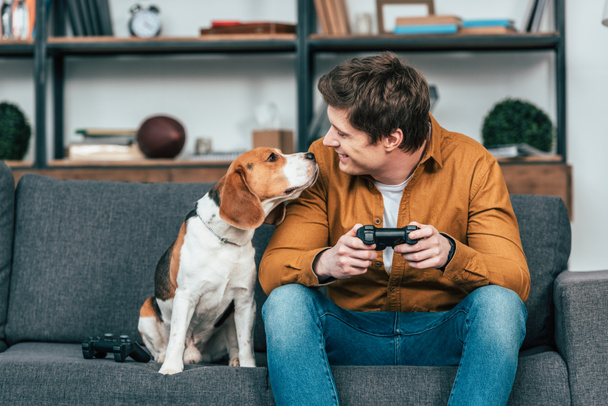 Smiling young man with gamepad sitting on sofa and looking at dog - Valokuva, kuva