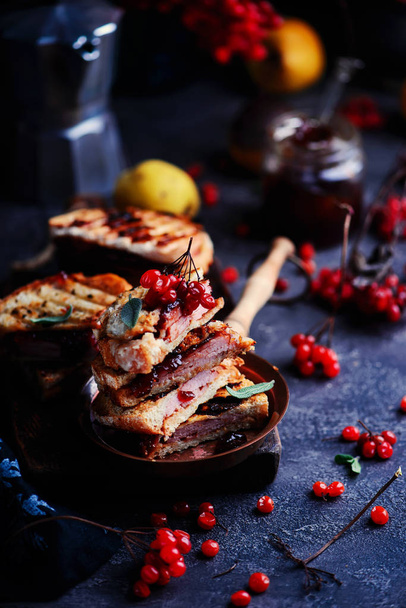 ham cheddar cranberry melt sandwich. - Photo, Image