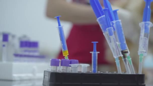 Syringes with vaccine on the background of a vet holding a dog in a veterinary clinic close up. Veterinarian woman with stethoscope examining dog in veterinary clinic. Animal treatment. - Video, Çekim