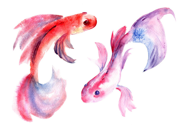 watercolor spots in the form of fish, red, pink, purple - Фото, зображення
