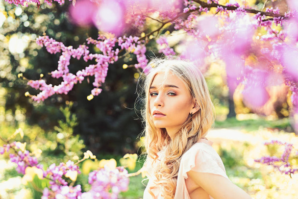 Spring bloom concept. Girl on dreamy face, tender blonde near violet flowers of judas tree, nature background. Lady walks in park on sunny spring day. Young woman enjoy flowers in garden, defocused. - Foto, afbeelding