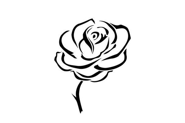 Hand drawn rose. Flowers rose, black and white vector outline icon. Flower logotype concept icon. Rose logo. - Wektor, obraz