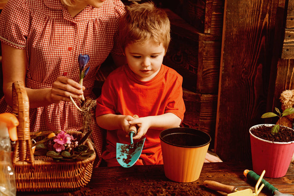 Spring concept. Little child plant flower in spring. Boy potting plant, spring. Spring is here - Fotografie, Obrázek