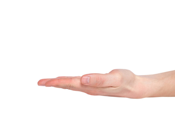 Close up hand with the palm up receiving or holding something. I - Valokuva, kuva