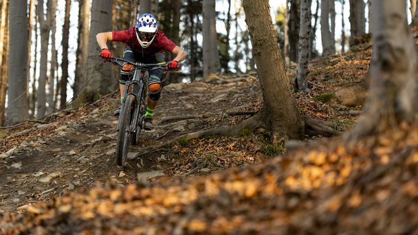 Mountainbiker rides in autumn forest - Photo, Image