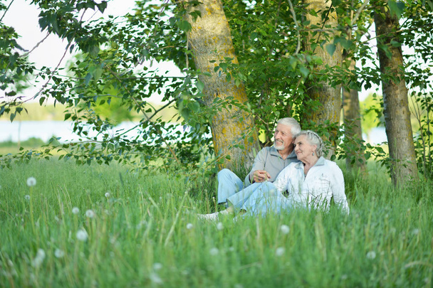 Nice mature couple sitting on green grass in summer park - 写真・画像