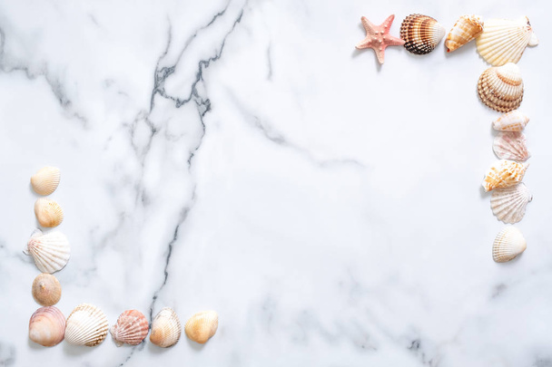Summer composition. Frame made of sea shells on marble background. Flat lay, top view, copy space - Foto, Imagem