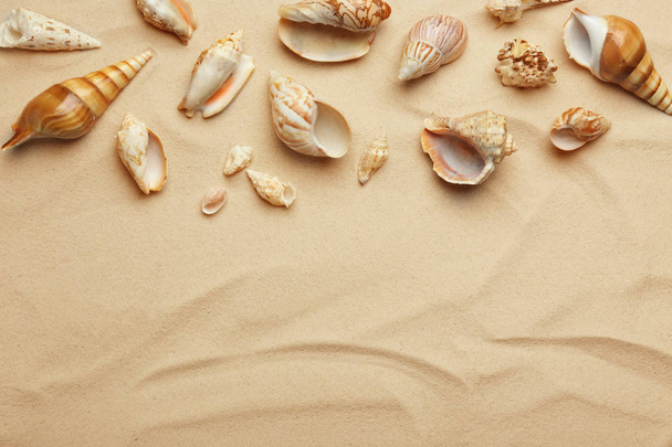 Seashells na areia da praia, vista superior. Espaço para texto
 - Foto, Imagem