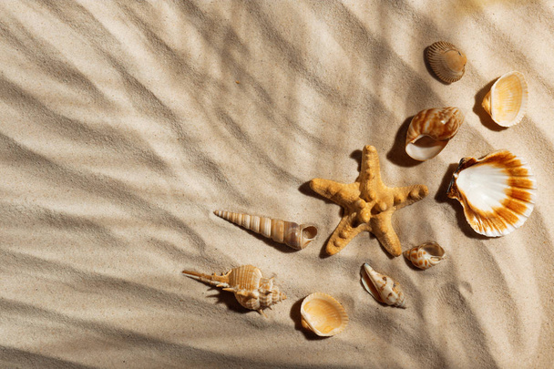 Starfish e conchas na areia da praia, vista superior. Espaço para texto
 - Foto, Imagem