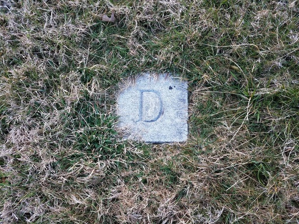 Rock of steen met de letter D gegraveerd op het in gras - Foto, afbeelding