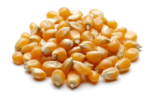 Heap of golden corn grains isolated on white - 写真・画像
