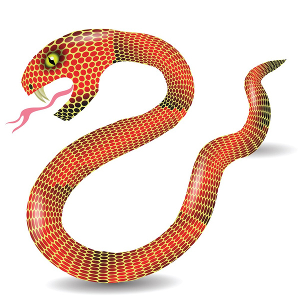 Vörös kígyó - Vektor, kép