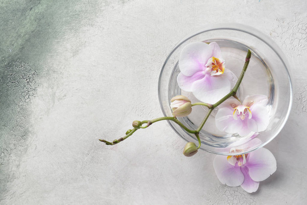 Чаша с водой и веткой орхидеи на столе
 - Фото, изображение
