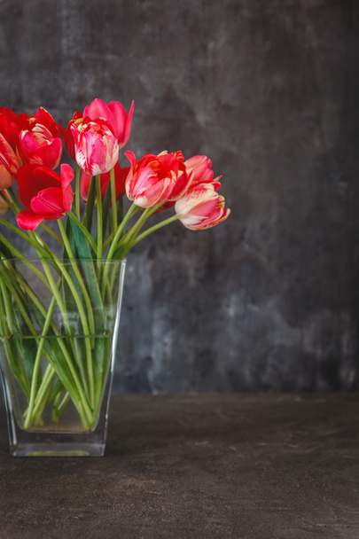 bouquet of red tulips in a transparent vase on a dark background - 写真・画像