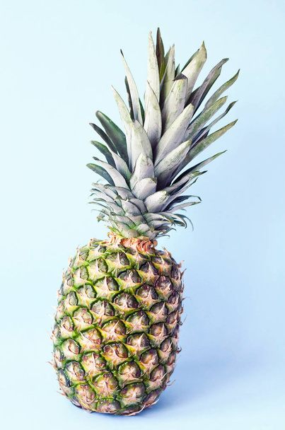 Pineapple slice close up on a blue background. - 写真・画像