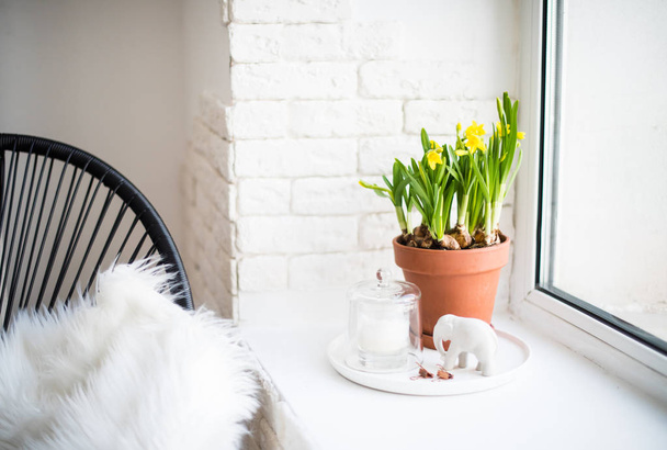 Springtime home decor with yellow daffodils on windowsill  - Zdjęcie, obraz