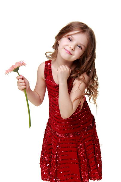 Charming little girl in a red dress holding a pink gerbera - Fotoğraf, Görsel