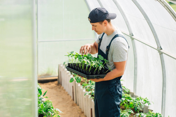 Handsome cheerful young gardener in overall standing with seedlings in greenhouse. Portrait of joyful farmer. - Foto, Bild